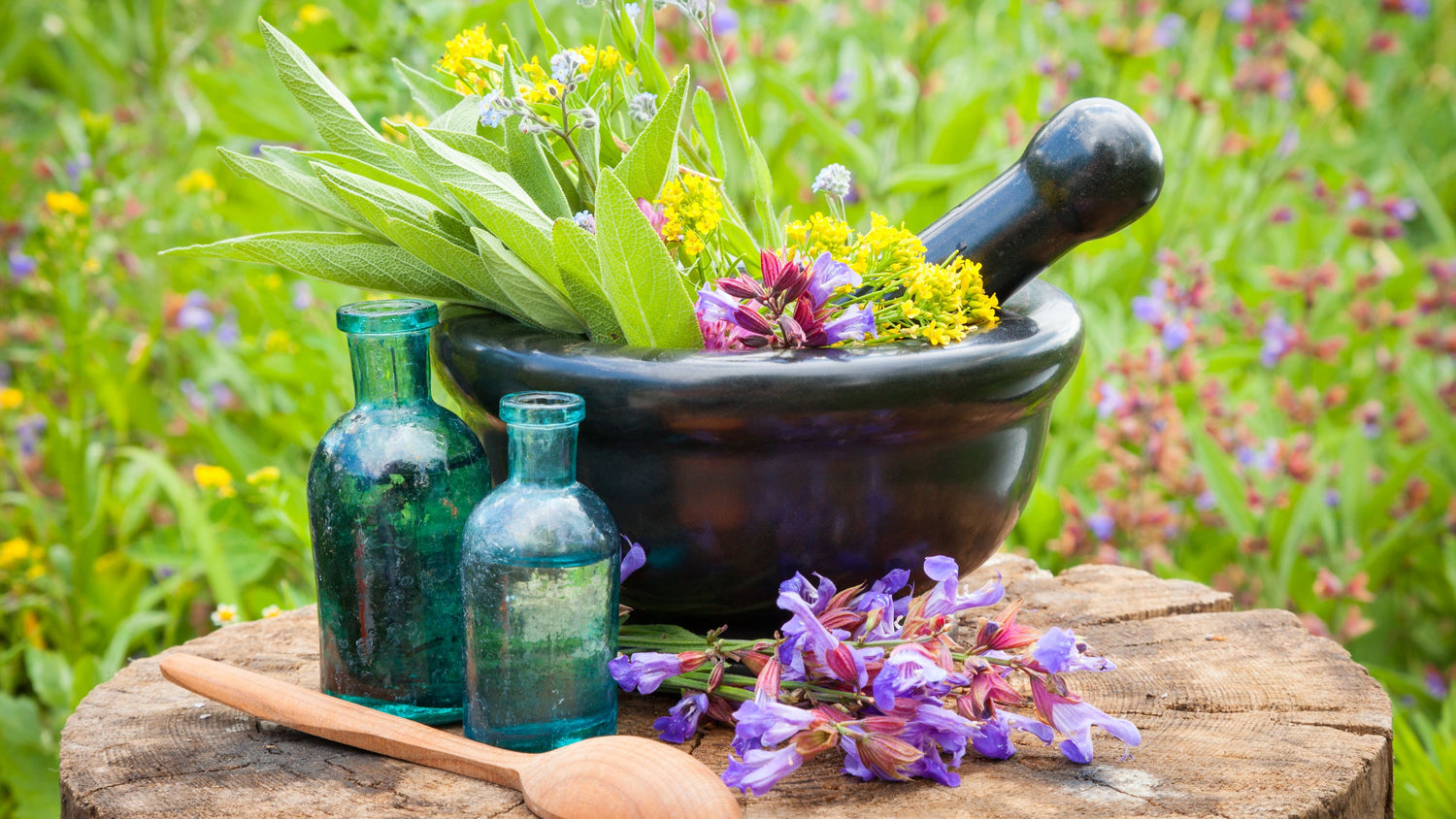 Herbal Salves ~